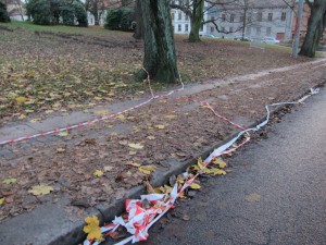 Nedskräpat Göteborg. Städning efter trädingreppen i Haga är inte prioriterat. Foto: Chris CederCC BY 4.0 Nedskräpat Göteborg. Städning efter trädingreppen i Haga är inte prioriterat.