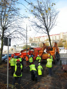 Trafikverket provlyfter träd i Allén 27 oktober 2015 som en del i förberedelserna för Västlänken.