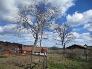 Beckholmen, Stockholm, april 2016