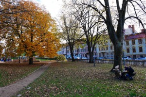 I Gathenhielmska reservatet i Göteborg kämpar människor för att rädda träd, precis som Orhan Pamuks familj gjorde i Turkiet 60 år tidigare. Foto: Chris Ceder